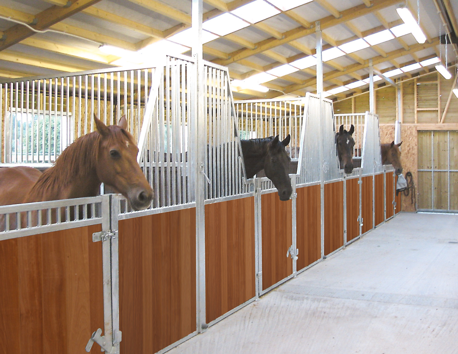 horses test