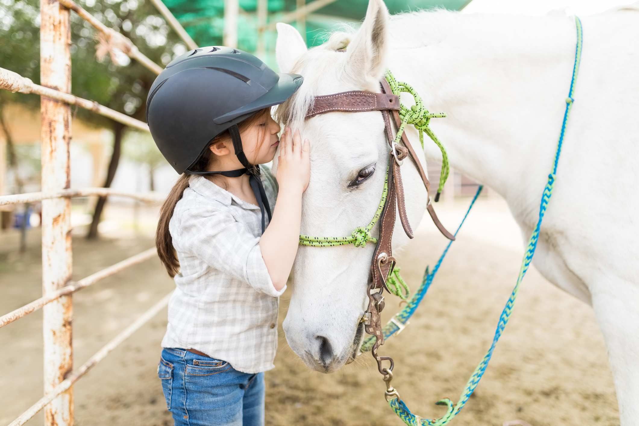 child gently training horse