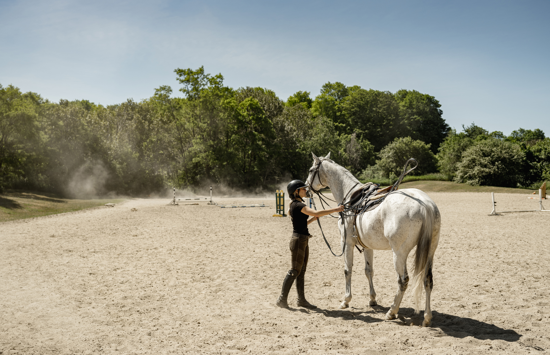 horse and handler